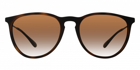 Ray-Ban Erika 4171